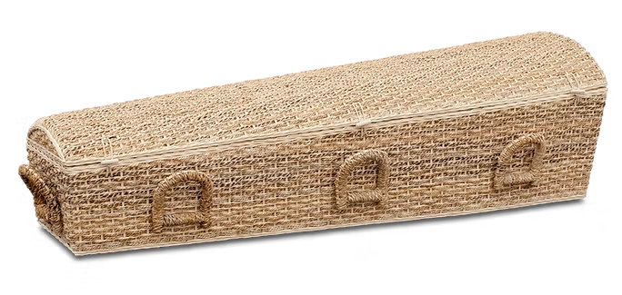 UB07 Abaca